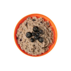 Porridge mit Blaubeeren - Expedition Foods