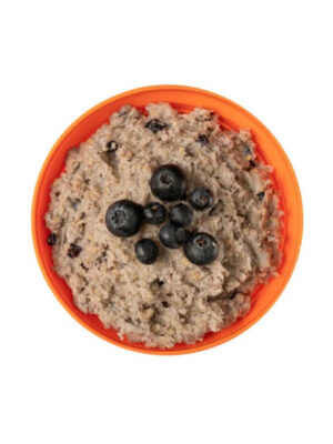 Porridge mit Blaubeeren - Expedition Foods