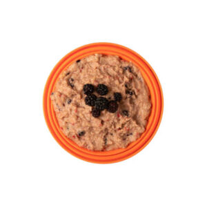 Vanillepudding mit gemischten Beeren - Expedition Foods