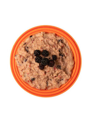 Vanillepudding mit gemischten Beeren - Expedition Foods