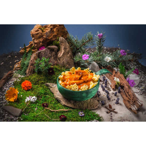 Zartes Hähnchen in cremiger Paprikasauce mit Pasta - 4kids - Adventure Menu